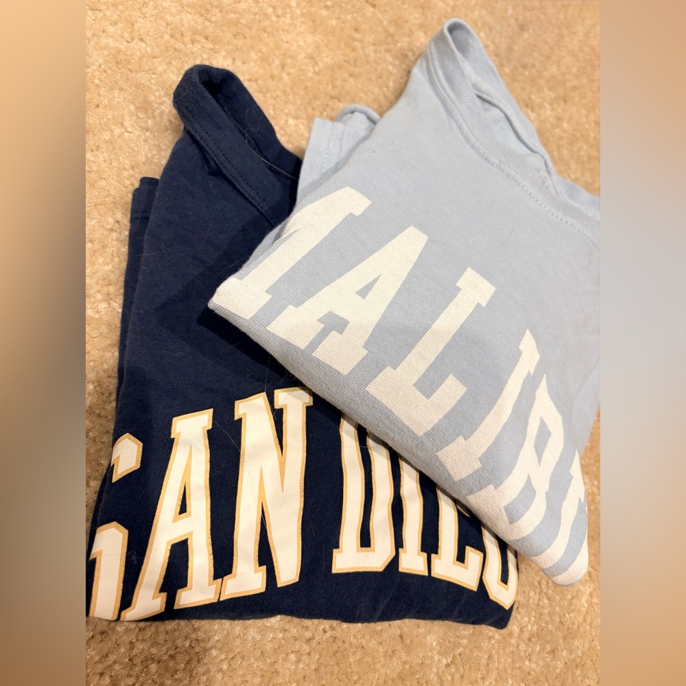 Crop Tee Bundle - 2 for $15! - Hollister & John Galt (Brandy) XS
